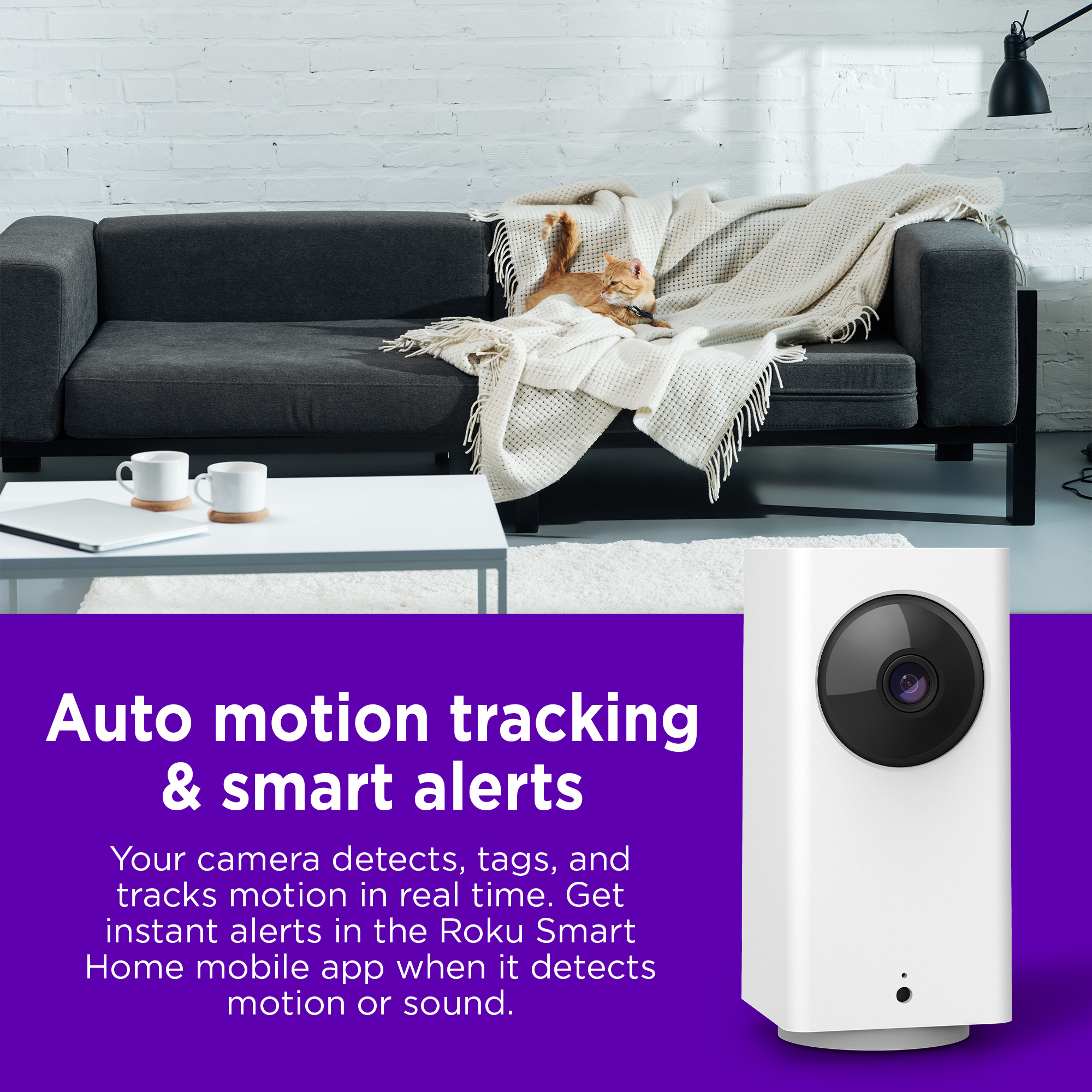 Auto motion tracking & smart alerts: Your camera detects, tags, and tracks motion in real time. Get instant alerts in the Roku Smart Home mobile app when it detects motion or sound.