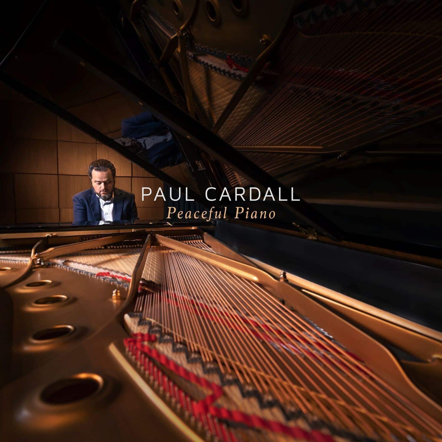 Paul Cardall - Peaceful Piano   - COMPACT DISCS [CD] price history on PriceWatchPro