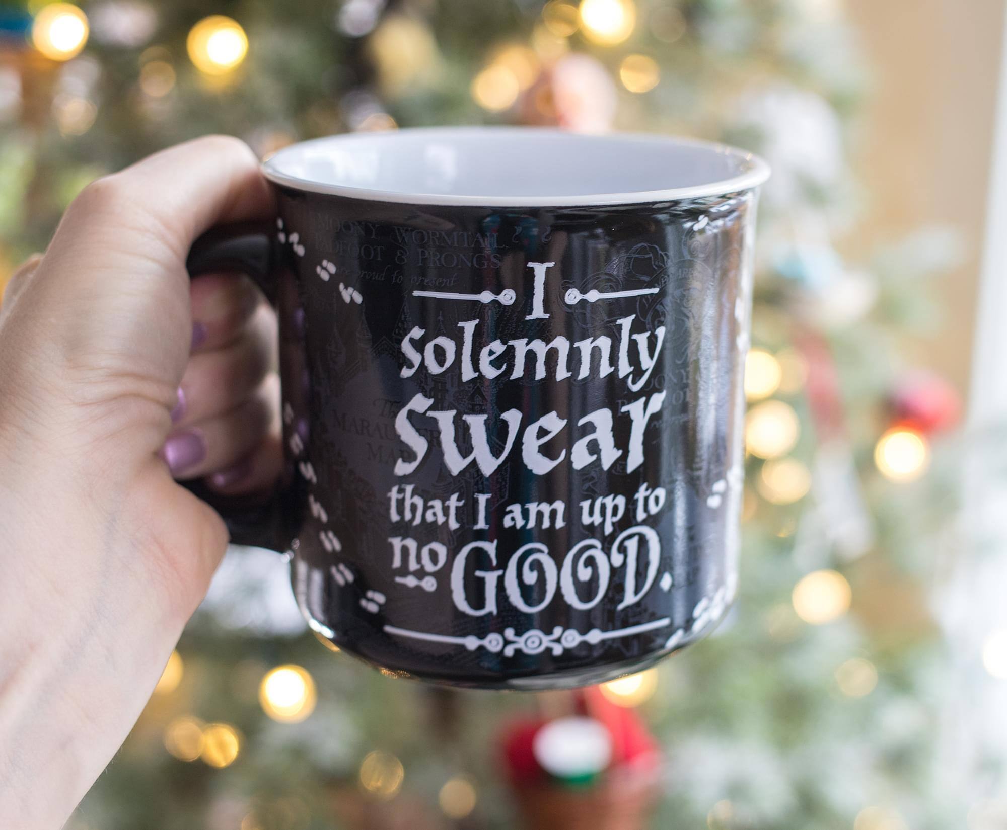 I solemnly swear that I am up to no good.