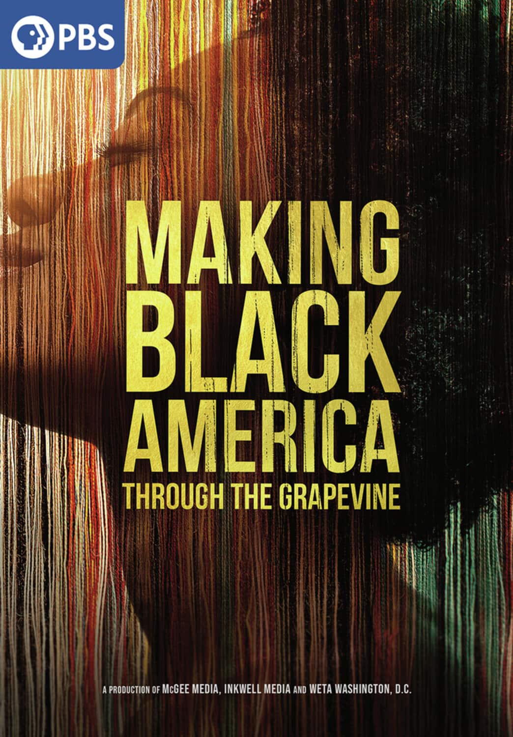 Making Black America: Through the Grapevine   - DVD price history on PriceWatchPro