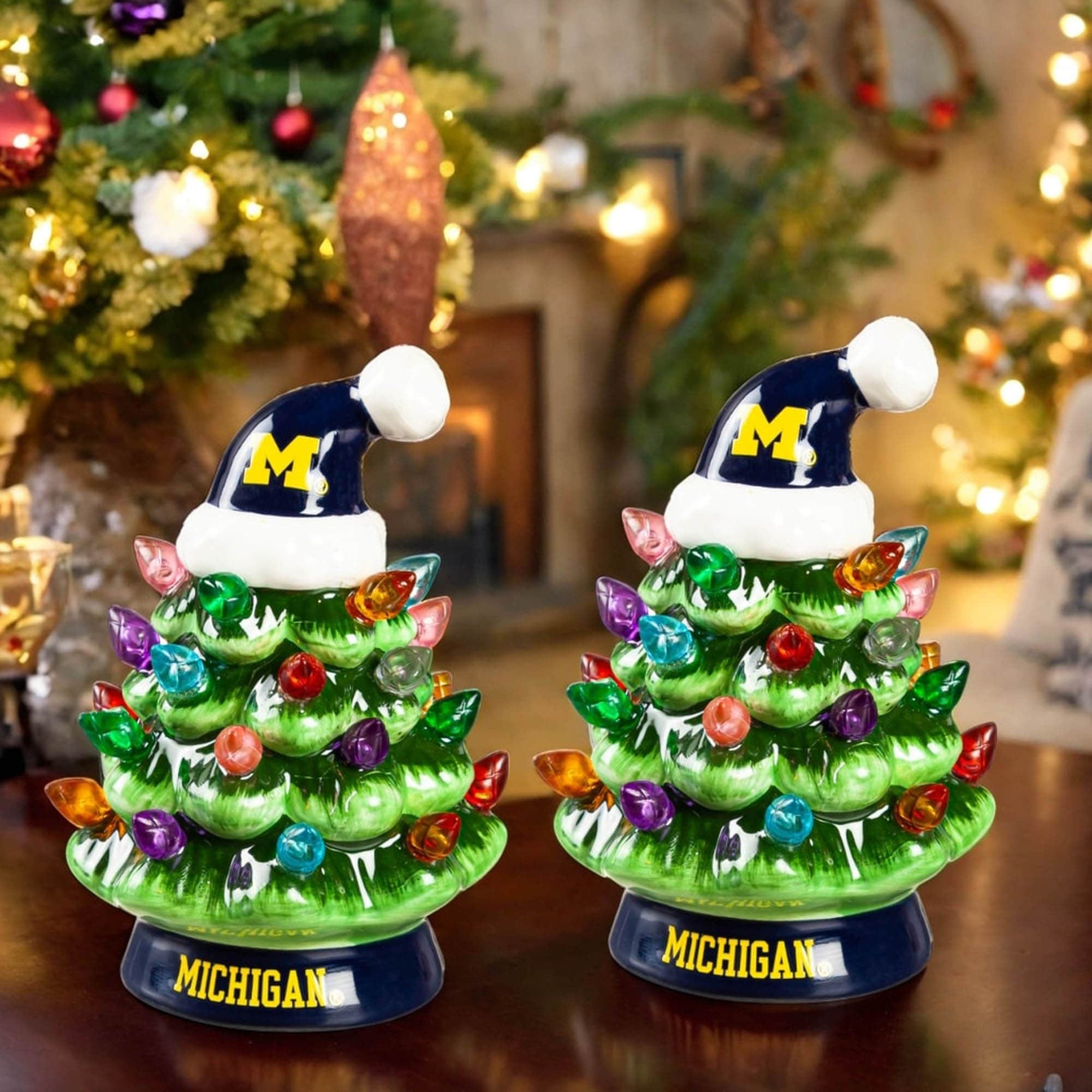 M M SCHICK V MICHIGAN ACRI0V MICHIGAN