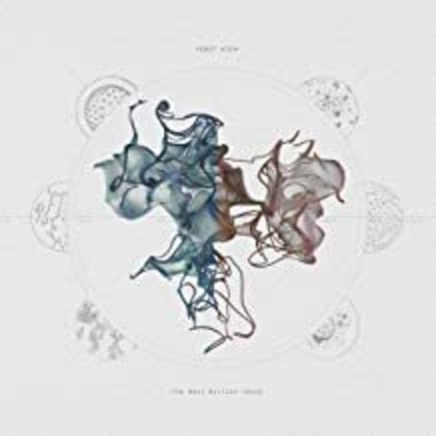 Robot Koch - Next Billion Years   - COMPACT DISCS [CD]
