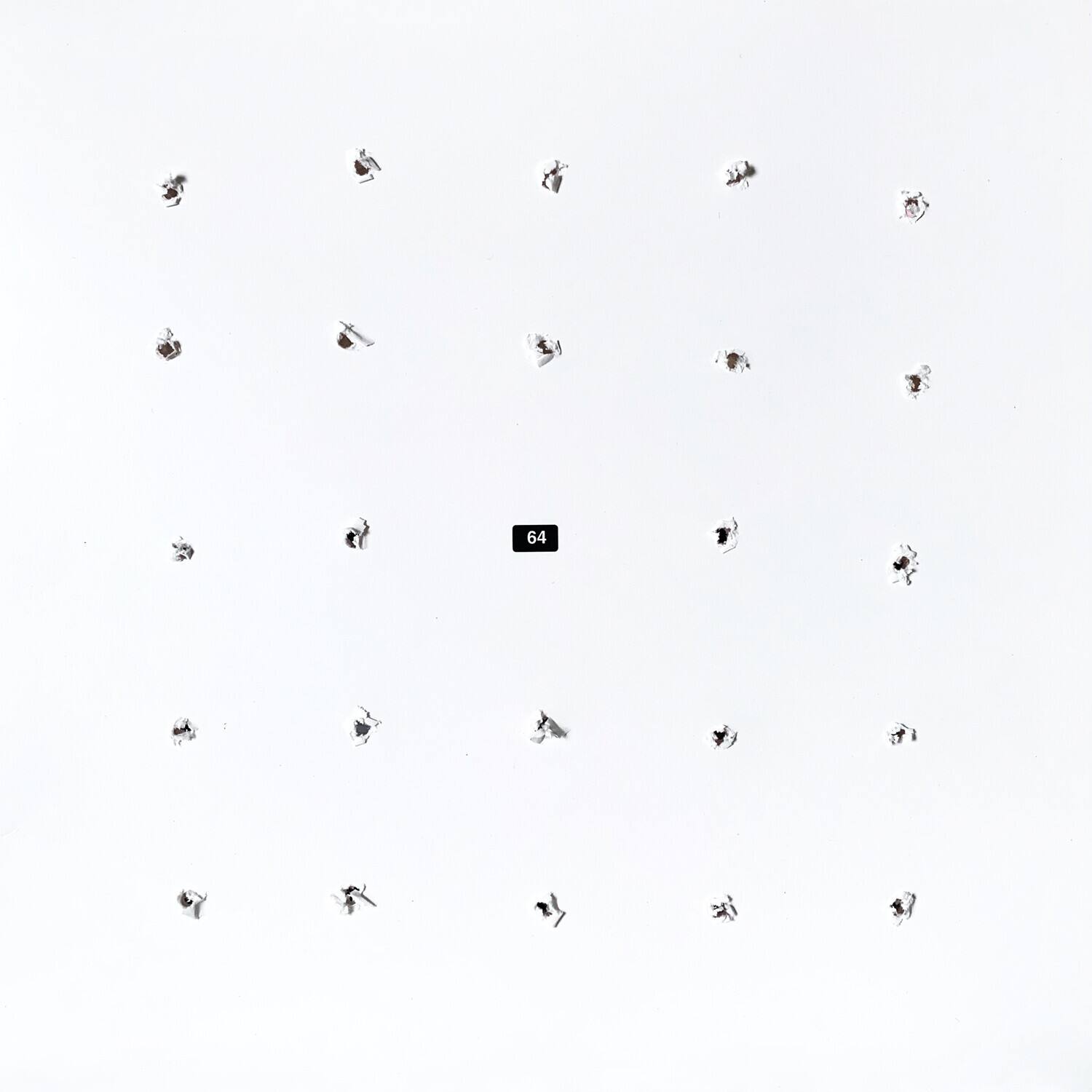 Front. Ian William Craig - Split Series #24   - VINYL LP.