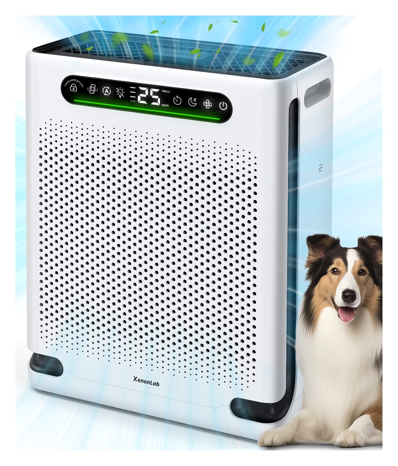 XenonLab

UOPATION @ @ M - 25 agi

PA23.5