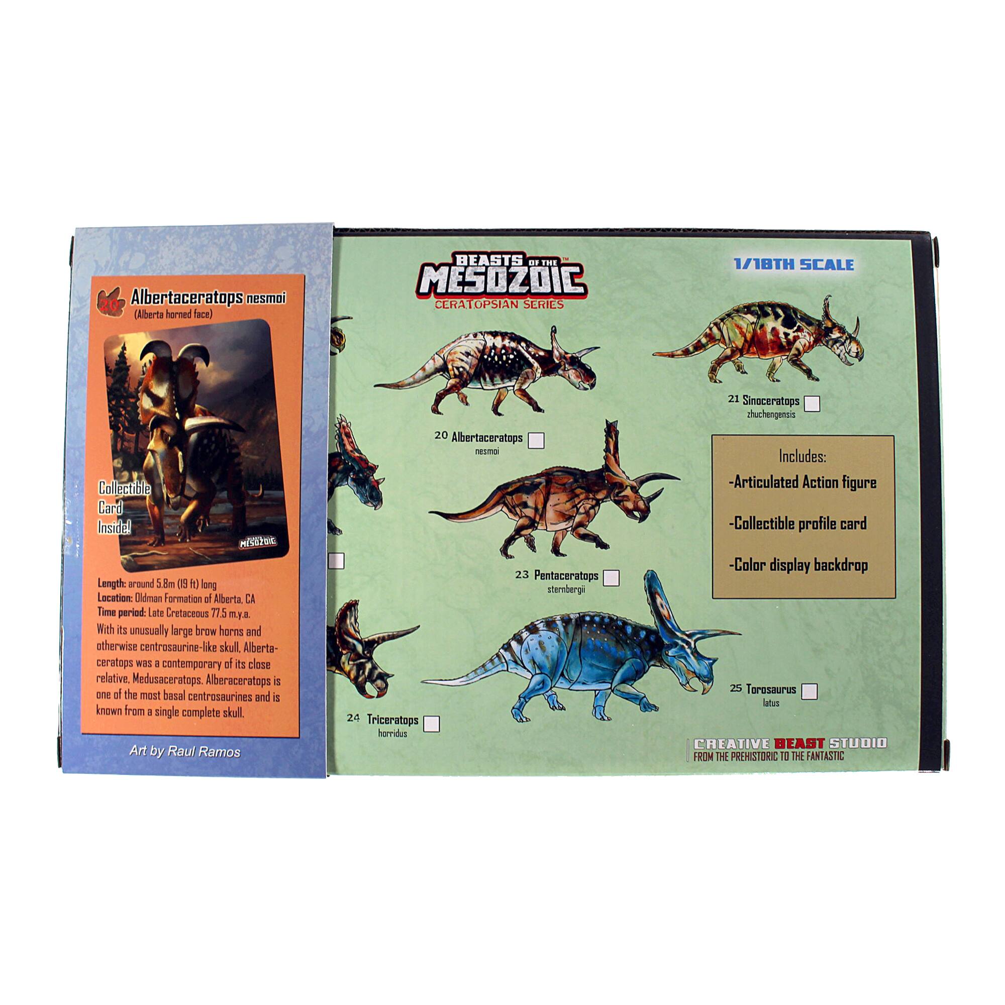 The text on the image is:

"20 Albertaceratops nesmoi (Alberta harmed Facel BEASTS a. THE MESOZOIC CERATOPSIAN SERIES 1/18TH SCALE Collectible Card Inside M/SU2UC Length around 38m long Lecture: Dimetrodon Formation of Alberta. CA Time period: Late Cretaceous 775 775mya With its unusually large brow horns and otherwise centrosaurine-like skull Alberta-ceratops was a contemporary of its class relative. Medusaceratops. Alberaceratops 5 of the most basal centrosaurines and is known from a single complete skull. Art by Raul Ramos 20 Albertaceratops nesmoi 23 Pentaceratops sterbergi 24 Triceratops horridus 21 Sinaceratops zhuchengensis Includes: -Articulated Action figure -Collectible profile card -Color display backdrop"