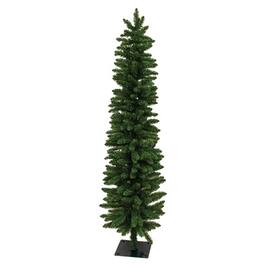 BreeBe - Pencil Alpine Tree - 6 Ft H - Green