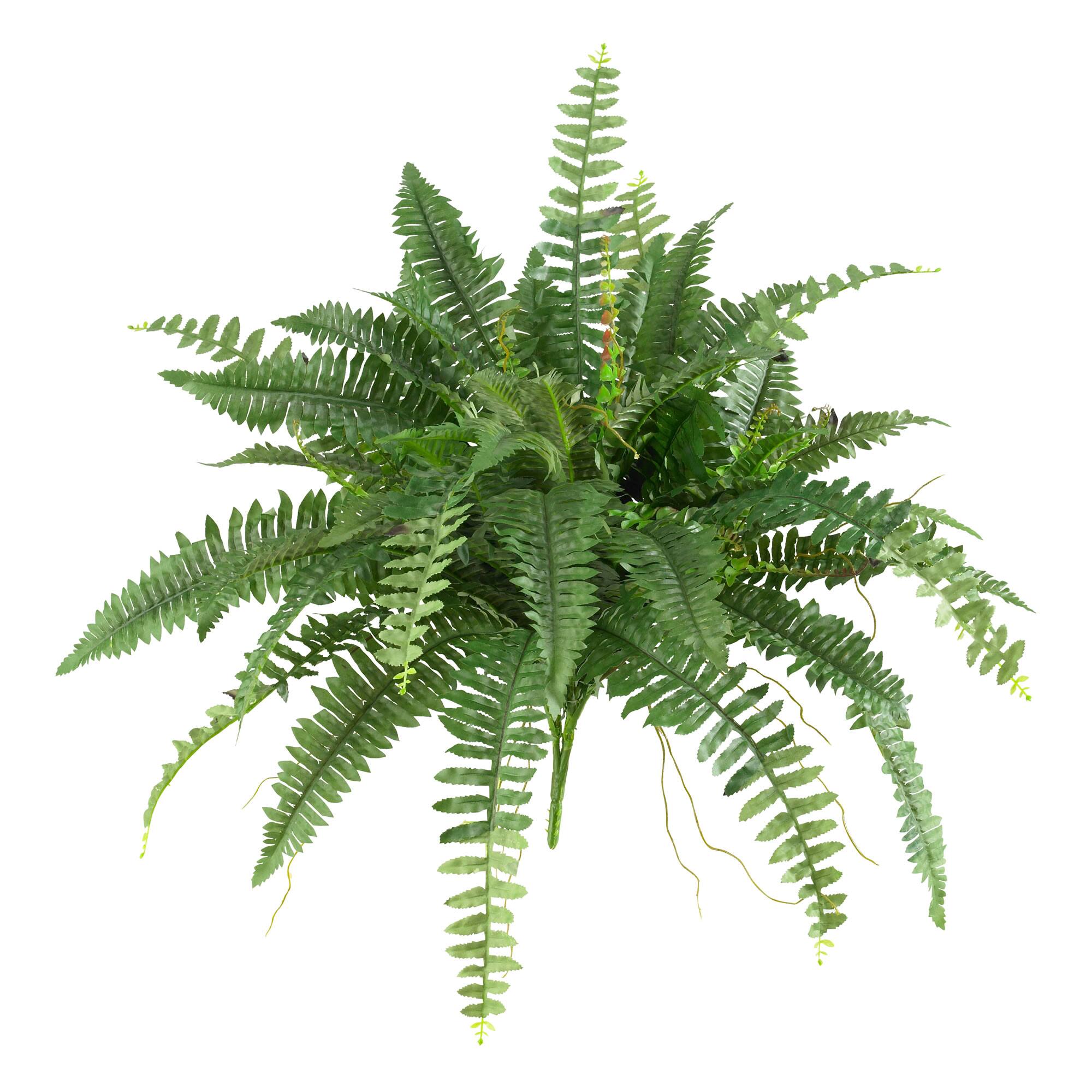 BreeBe - 40inch Boston Fern (Set of 2) - Green