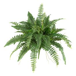 BreeBe - 40inch Boston Fern (Set of 2) - Green