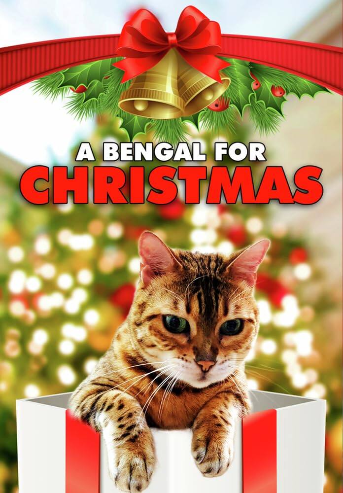 A Bengal For Christmas (MOD) (DVD Movie)