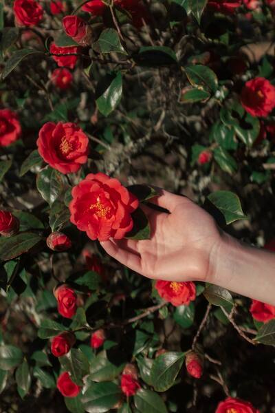 Polaroid Hi-Print 2x3 Pocket Photo Printer Generation 2 White 009128 - Best Buy