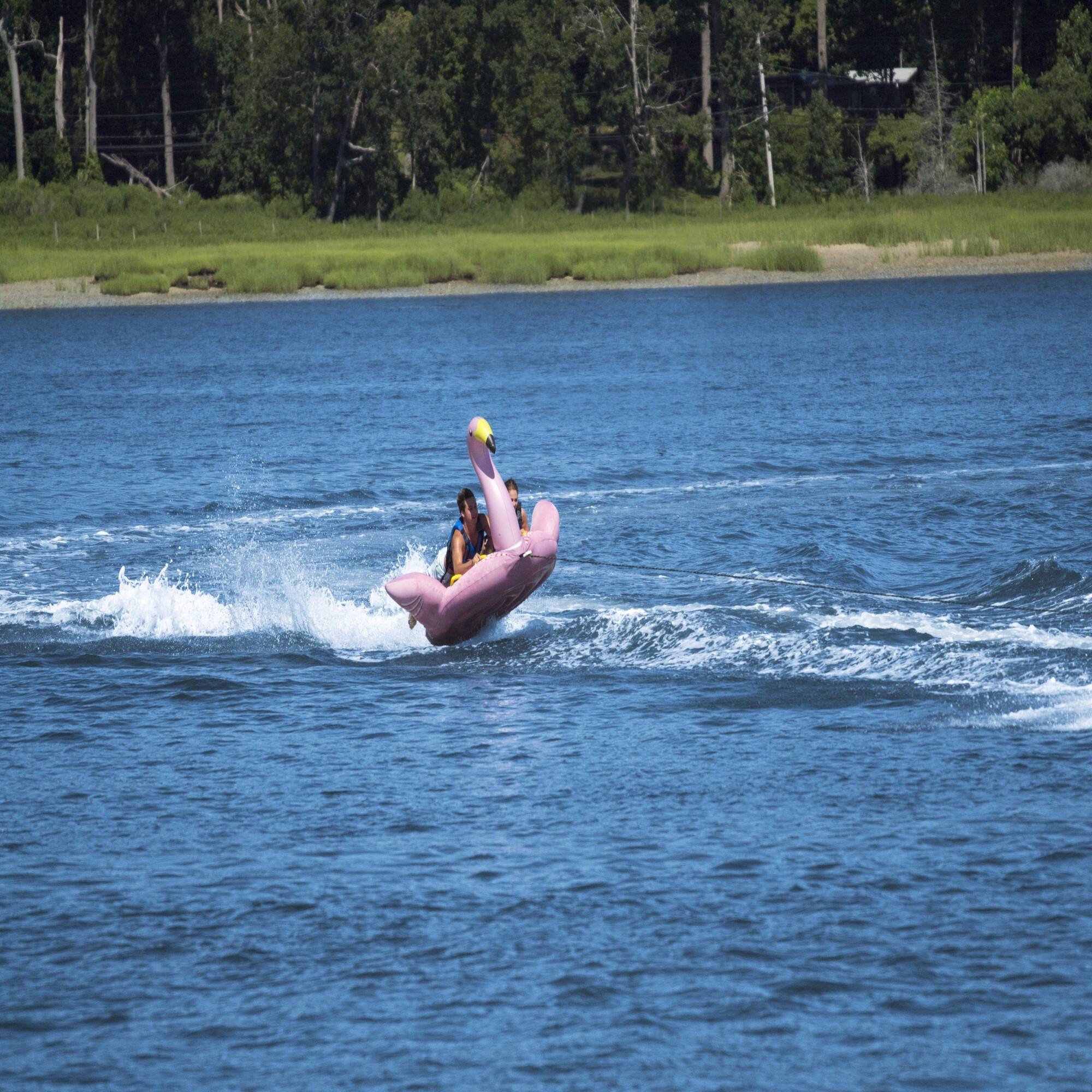 Alt View 4. Swim Central - Inflatable Lay On Towable Flamingo Float - 82" - Pink and Yellow - Pink.