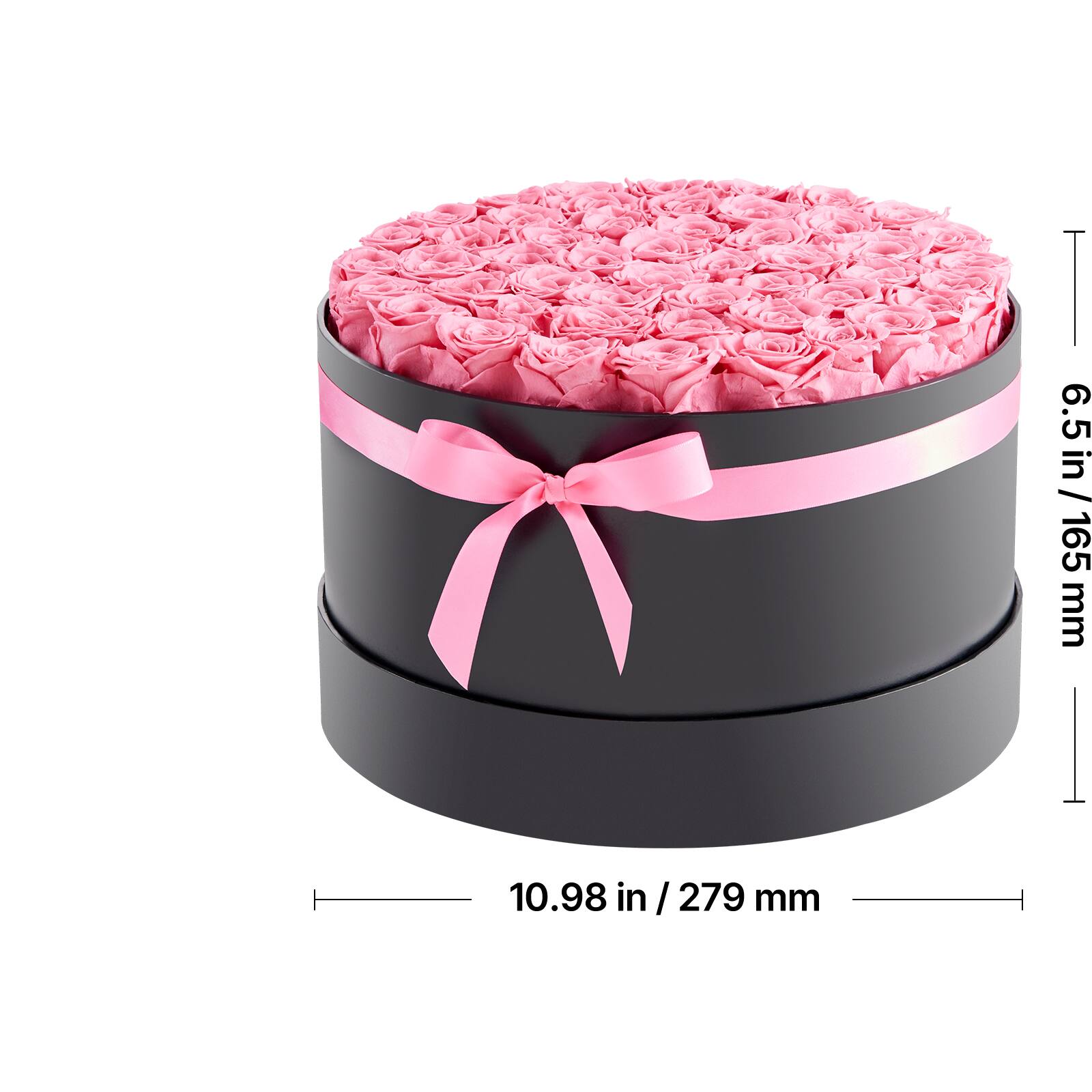 6.5 in / 165 mm  
10.98 in / 279 mm