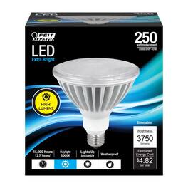 FEIT ELECTRIC - PAR38 E26 (Medium) LED Bulb Daylight 250 Watt Equivalence 1 pk