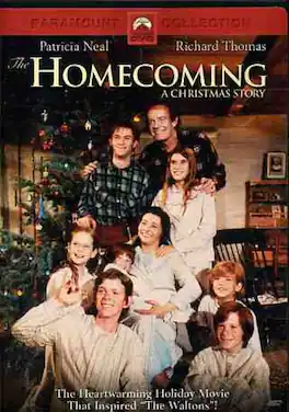 The Homecoming: A Christmas Story - DVD