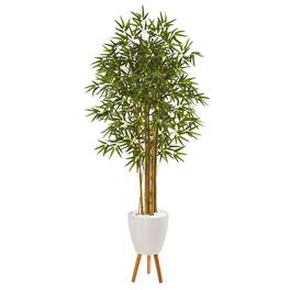 BreeBe - 74" Multi Bambusa Bamboo Tree in Planter with Stand - Green