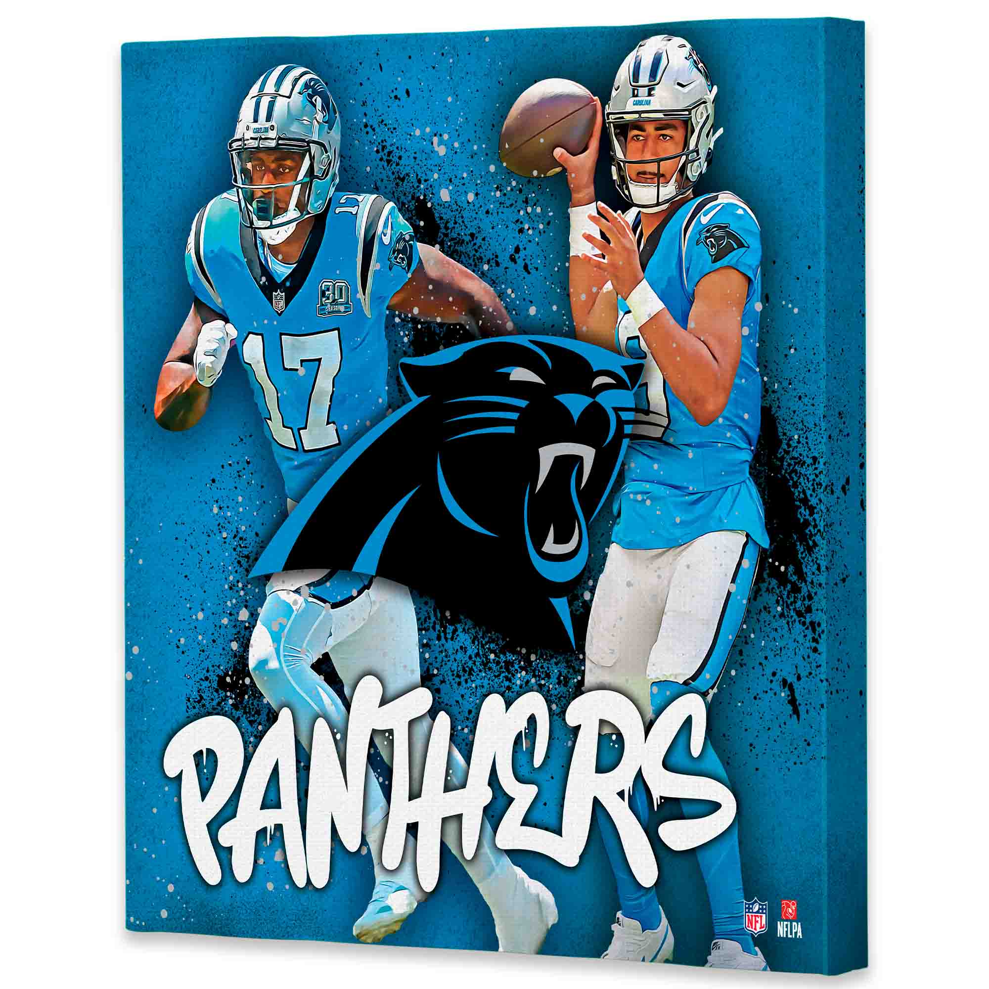 MS 30 17 PANTHERS NFL NFLPA