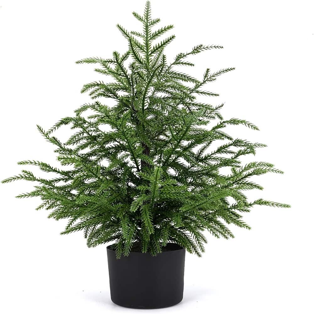 RTMB - 2ft Norfolk Pine Christmas Tree, Realistic Faux Greenery, Tabletop Decor - Color: 2ft-1pack