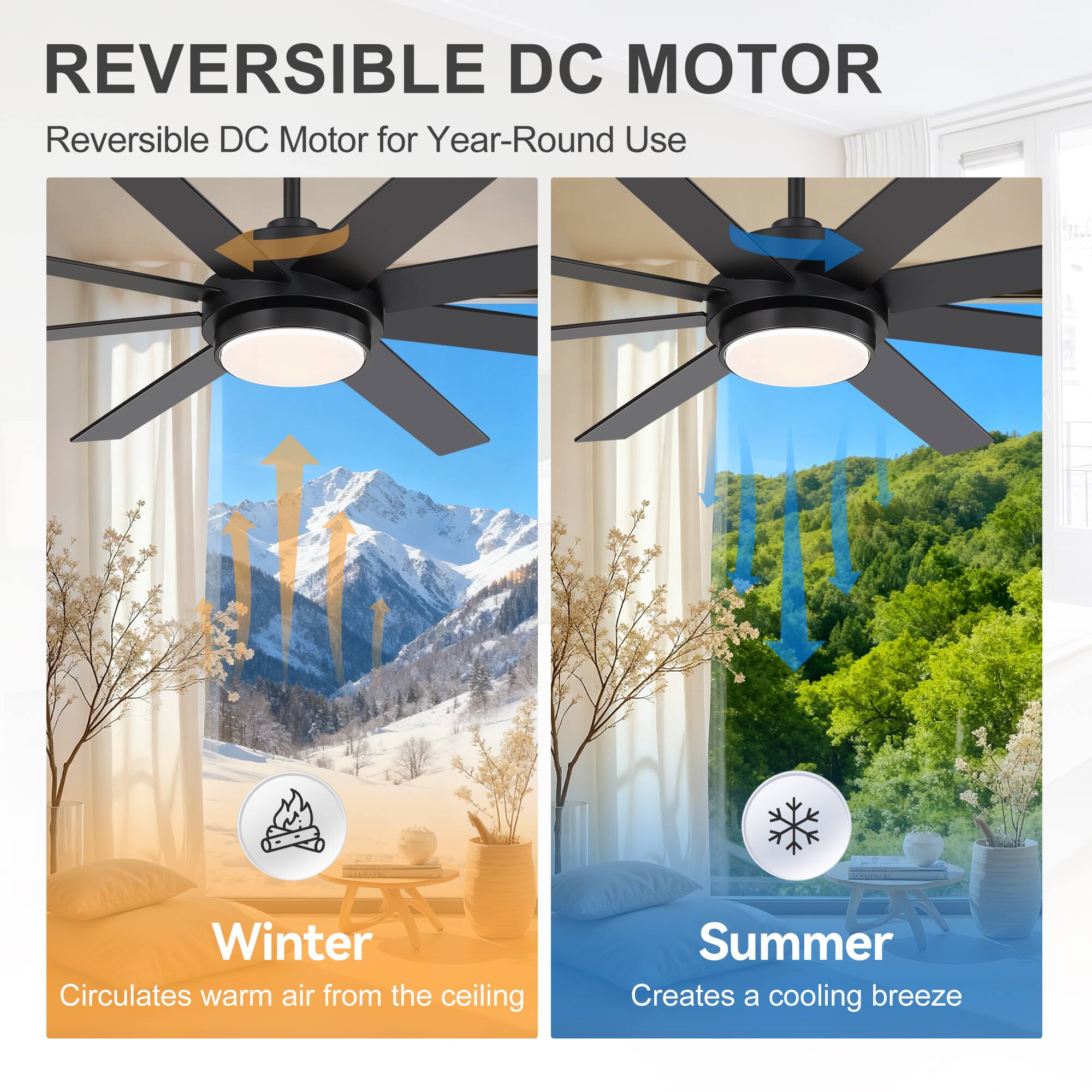REVERSIBLE DC MOTOR  
Reversible DC Motor for Year-Round Use

Winter  
Circulates warm air from the ceiling

Summer  
Creates a cooling breeze