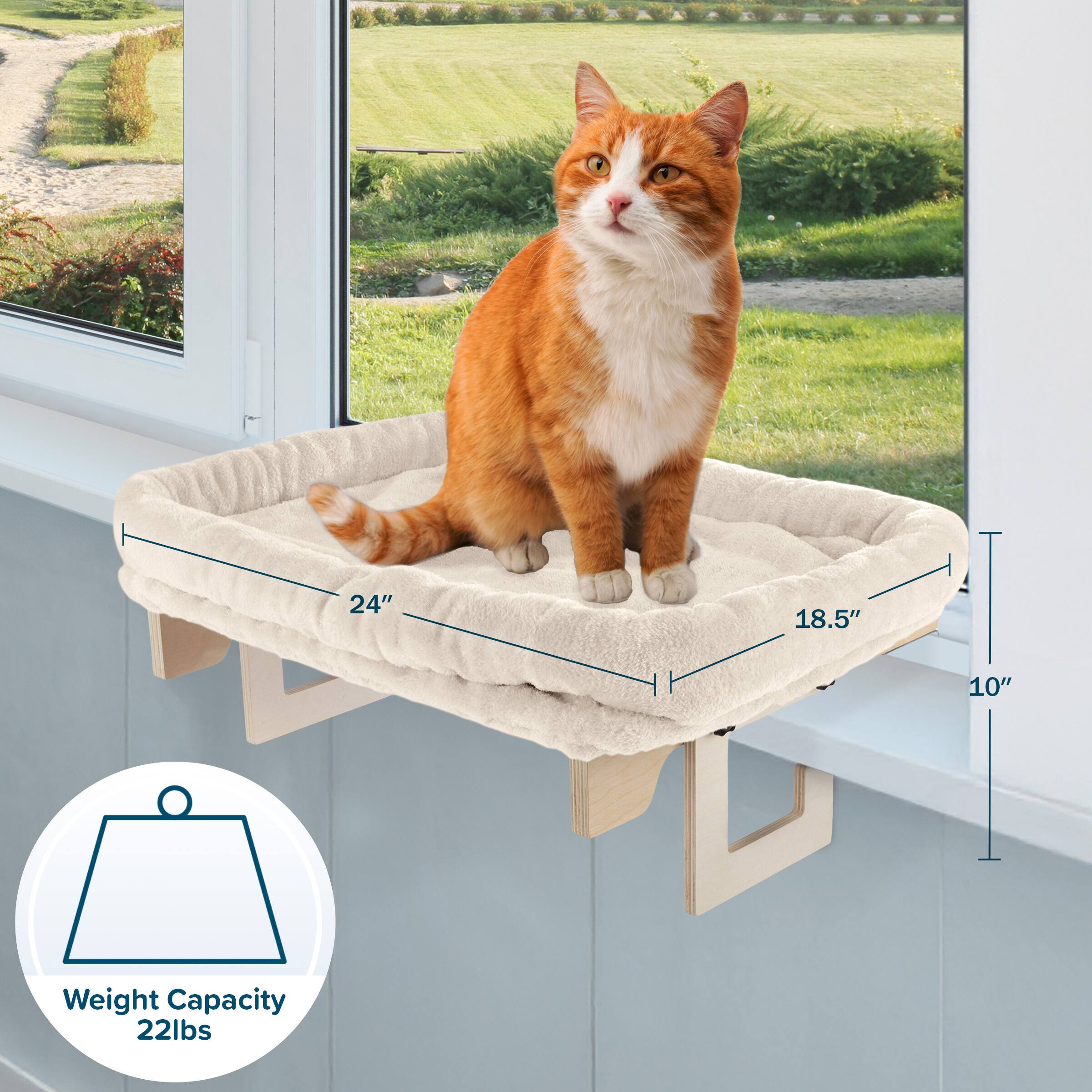 24" x 18.5" x 10"  
Weight Capacity: 22lbs