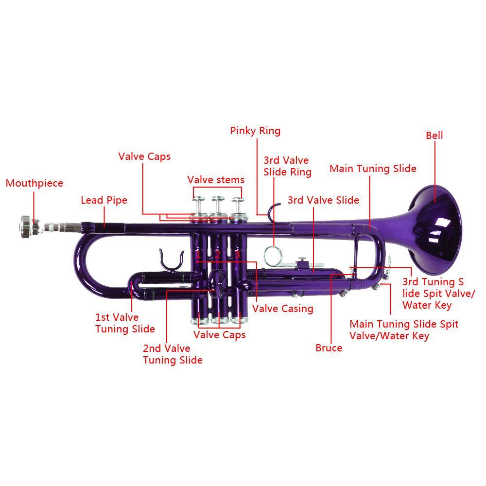 Pinky Ring  
Bell  
Valve Caps  
Mouthpiece  
Lead Pipe  
Valve stems  
3rd Valve Slide Ring  
3rd Valve Slide  
3rd Tuning Slide  
Spit Valve/ Valve Water Key  
Casing  
1st Valve  
Main Tuning Slide  
Spit Tuning Slide  
Valve Caps  
Valve/Water Key  
2nd Valve  
Bruce Tuning Slide