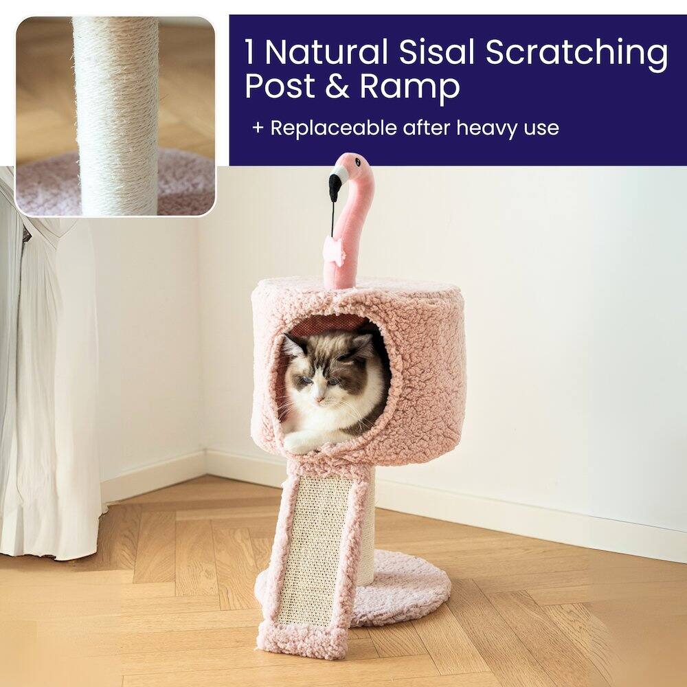 1 Natural Sisal Scratching Post & Ramp  
+ Replaceable after heavy use
