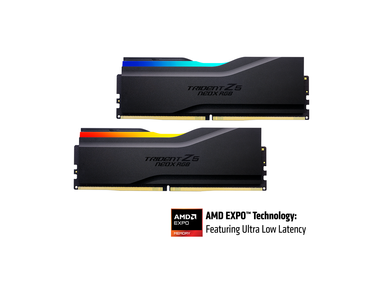 TRIDENT Z5 NEOX RGB  
TRIDENT Z5 NEOX RGB  
AMD EXPO MEMORY