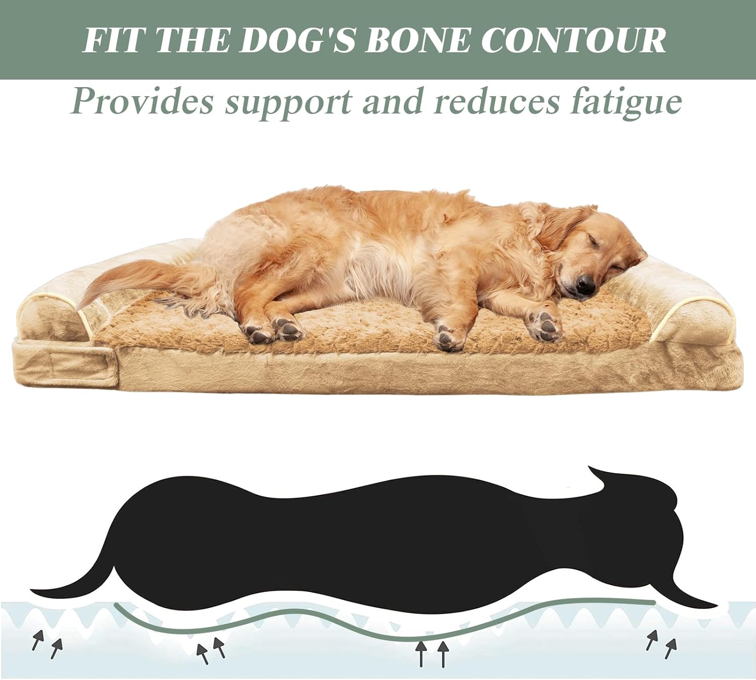 FIT THE DOG'S BONE CONTOUR
Provides support and reduces fatigue