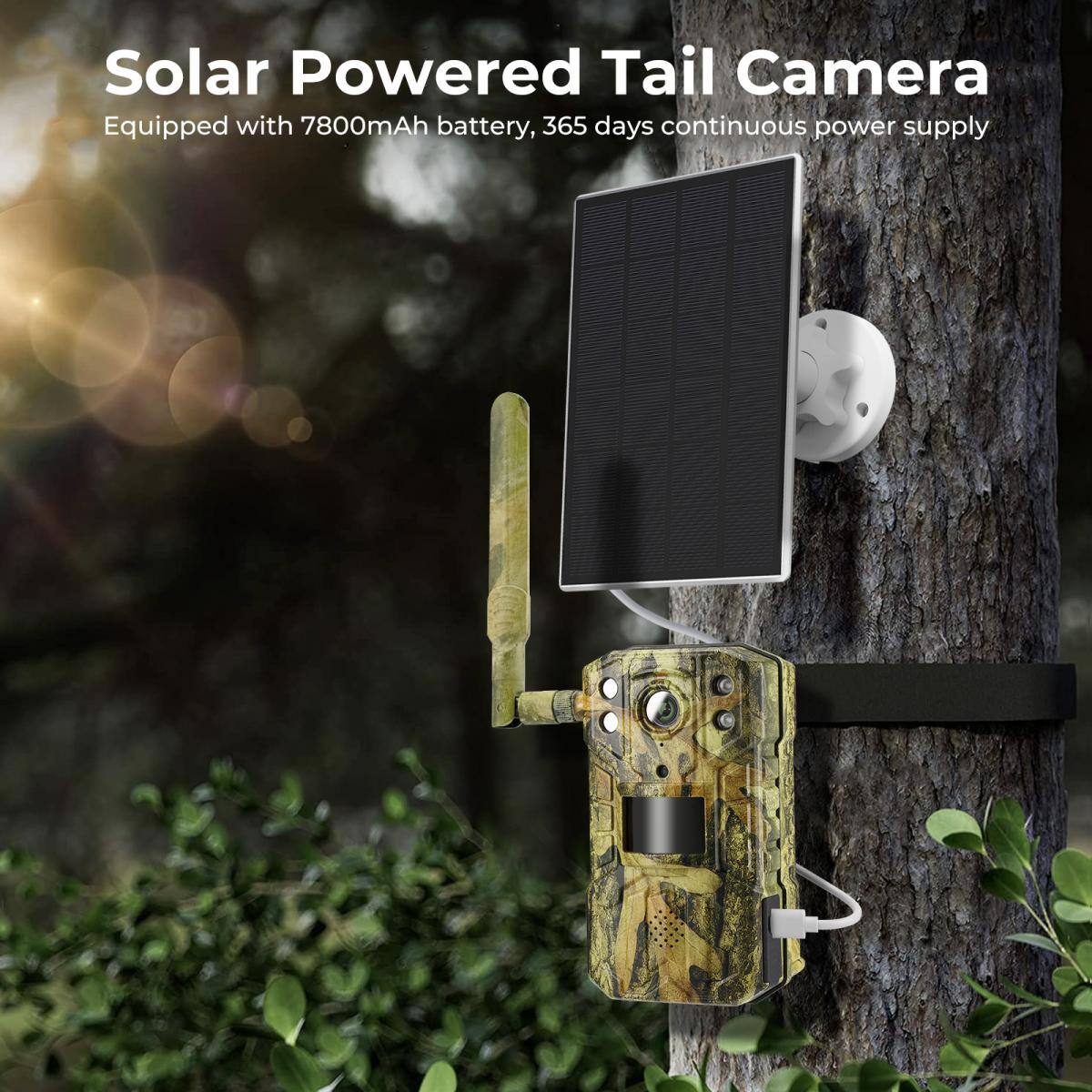Solar Powered Tail Camera  
Equipped with 7800mAh battery, 365 days continuous power supply