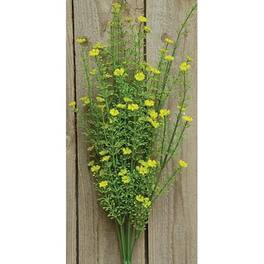 BreeBe - * Astilbe Bush 20" - Yellow