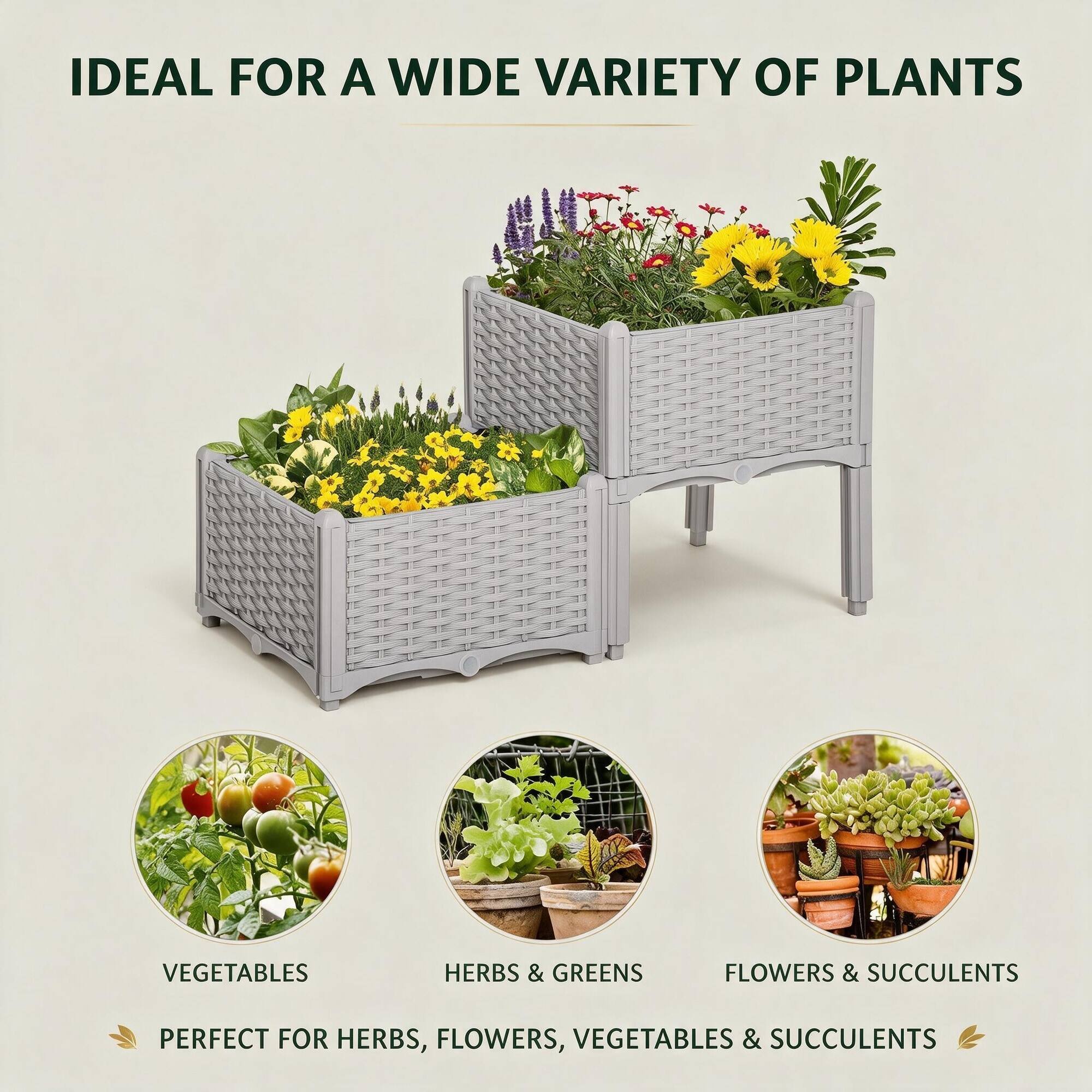 IDEAL FOR A WIDE VARIETY OF PLANTS

VEGETABLES
HERBS & GREENS
FLOWERS & SUCCULENTS

PERFECT FOR HERBS, FLOWERS, VEGETABLES & SUCCULENTS