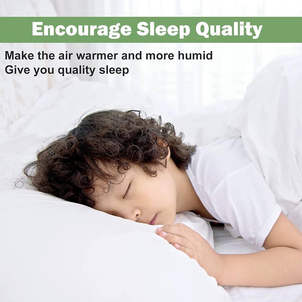 Encourage Sleep Quality

Make the air warmer and more humid

Give you quality sleep