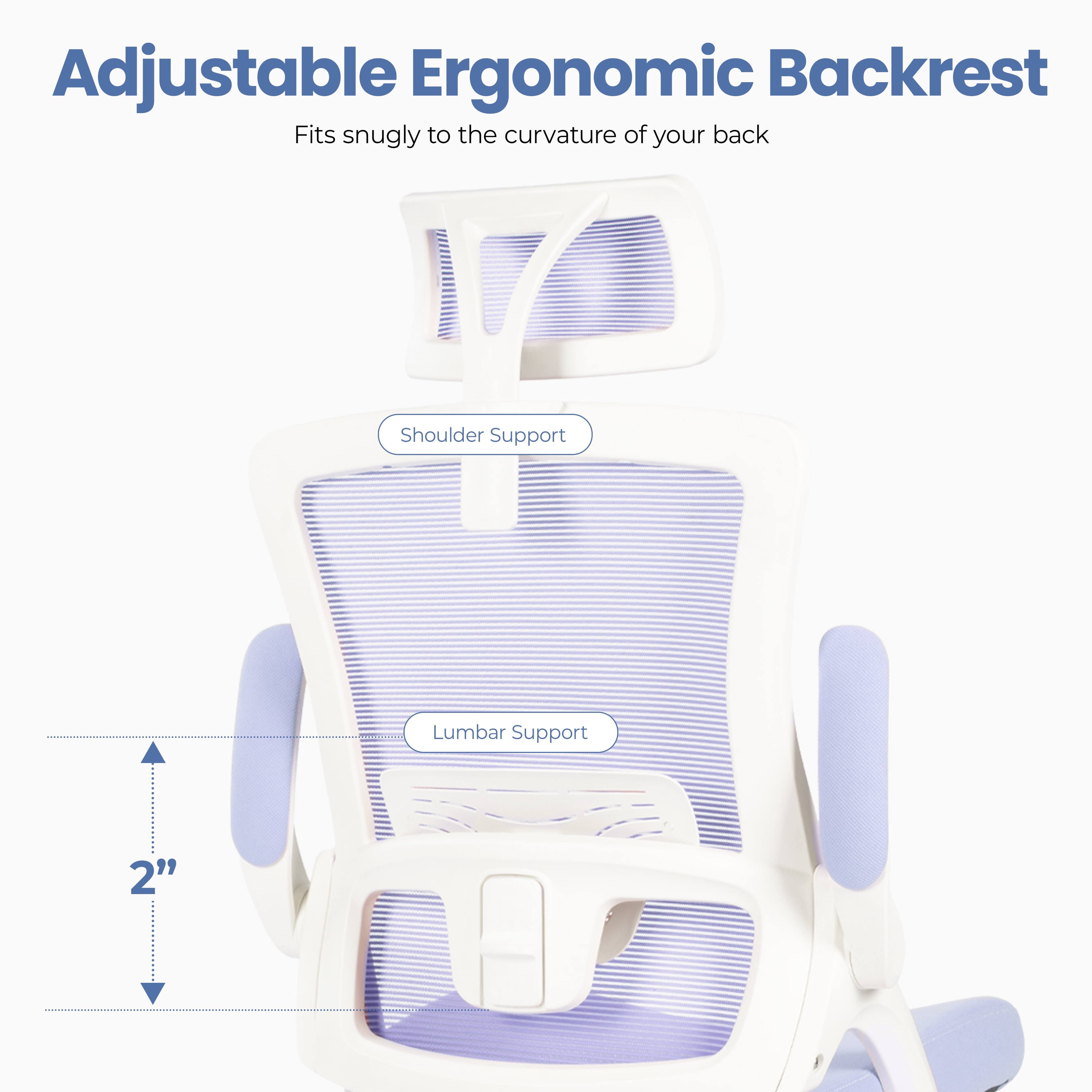 Adjustable Ergonomic Backrest  
Fits snugly to the curvature of your back  

Shoulder Support  
Lumbar Support  

2"