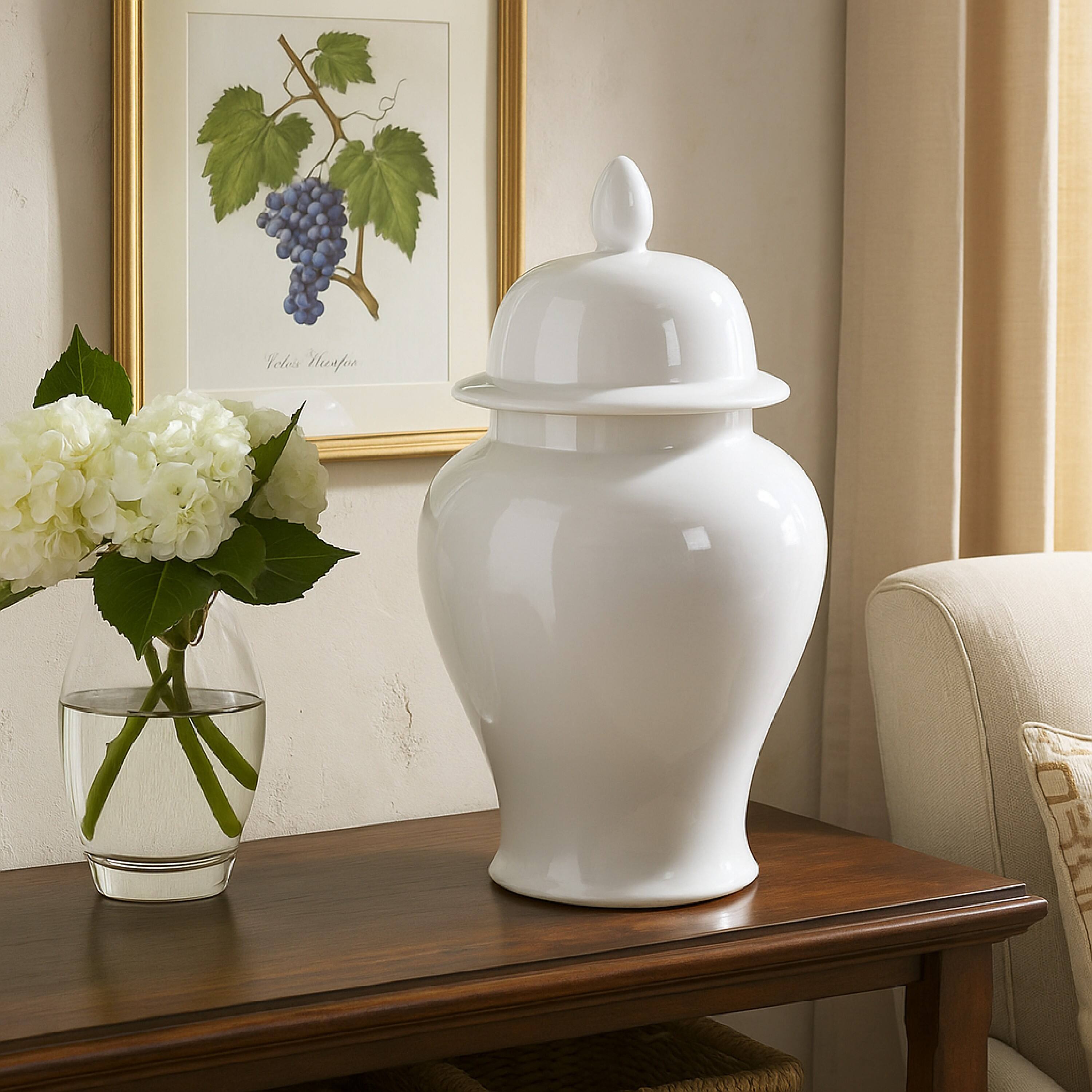 The text on the image reads: "Vitis Vinifera"