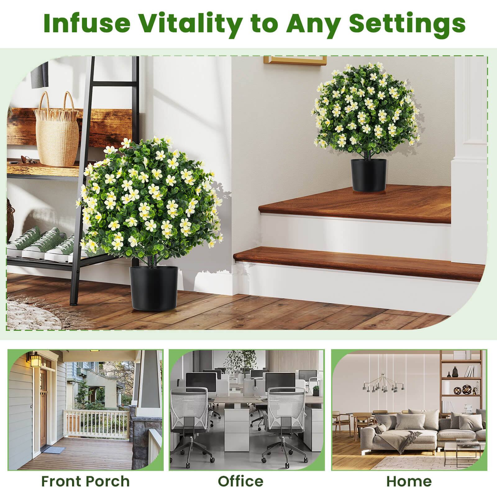 Infuse Vitality to Any Settings

Front Porch
Office
Home