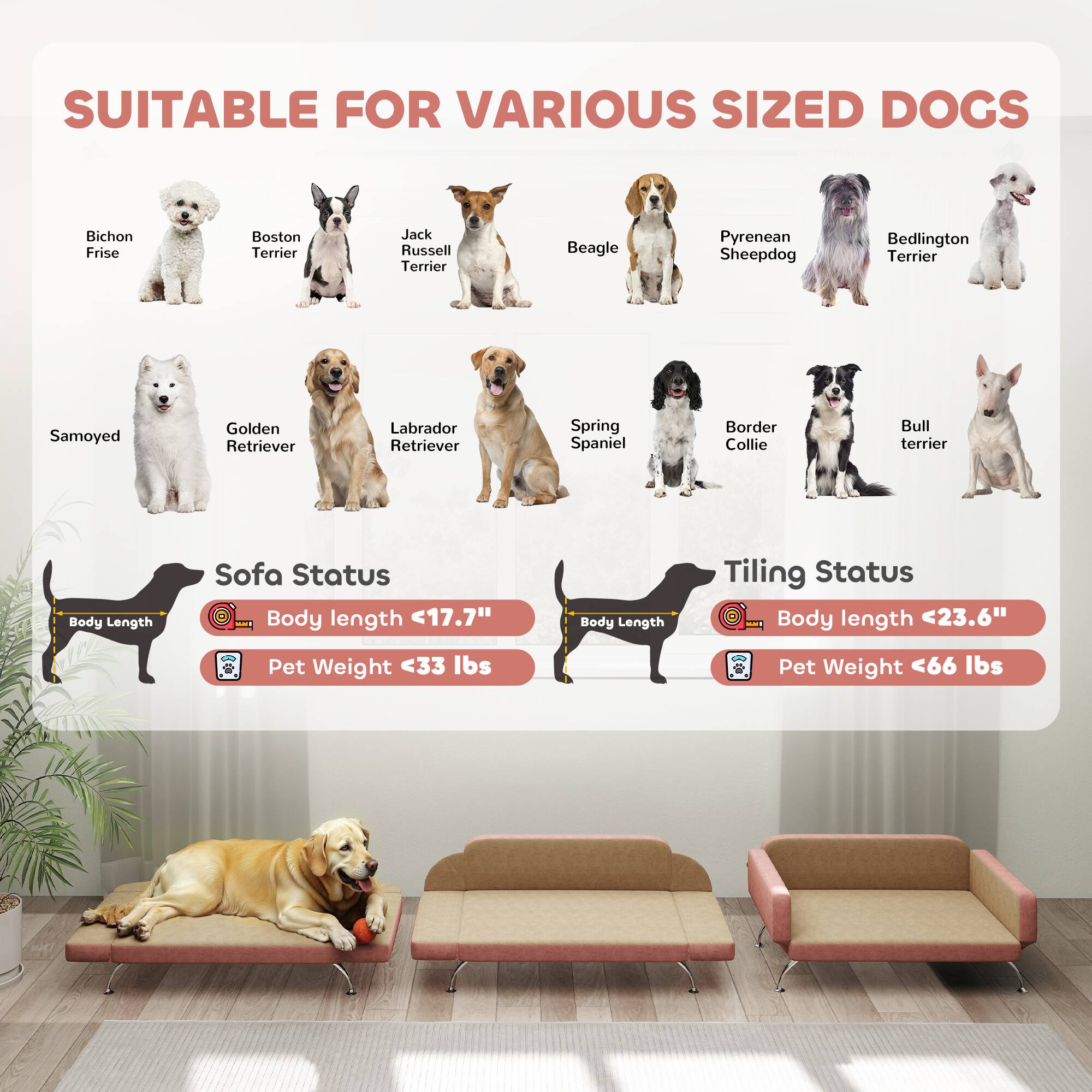 SUITABLE FOR VARIOUS SIZED DOGS

Bichon Frise  
Boston Terrier  
Jack Russell Terrier  
Beagle  
Pyrenean Sheepdog  
Bedlington Terrier  
Samoyed  
Golden Retriever  
Labrador Retriever  
Spring Spaniel  
Border Collie  
Bull Terrier  

Sofa Status  
Body Length <17.7"  
Pet Weight <33 lbs  

Tiling Status  
Body Length <23.6"  
Pet Weight <66 lbs