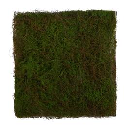 BreeBe - 20" X 20" Artificial Moss Mat - Green