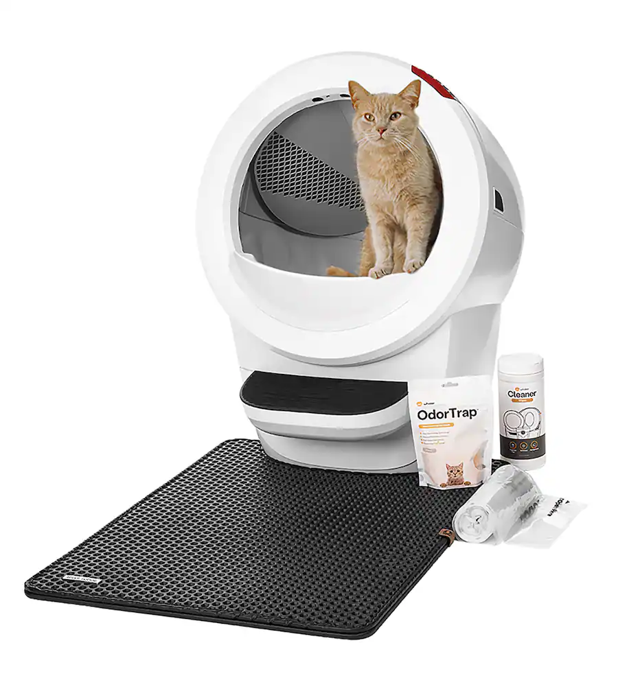 Cat Litter Can I Teach My Dog To Use A Litter Box Cat Toilet Seat