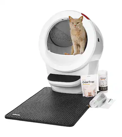 Litter Review Best Indoor Cat Litter What's The Best Litter For