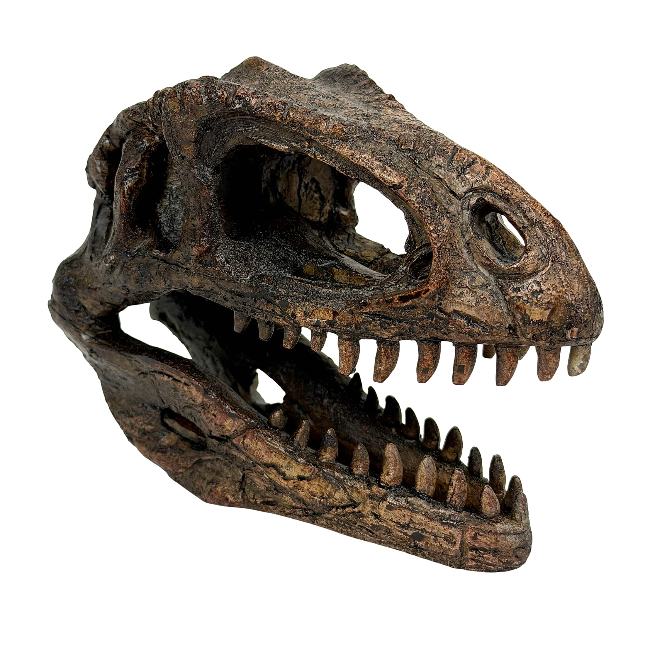 Things2Die4 - Giganotosaurus Dinosaur Statue Weathered Resin 6.5 Inch Tabletop Decor - Brown price history on PriceWatchPro