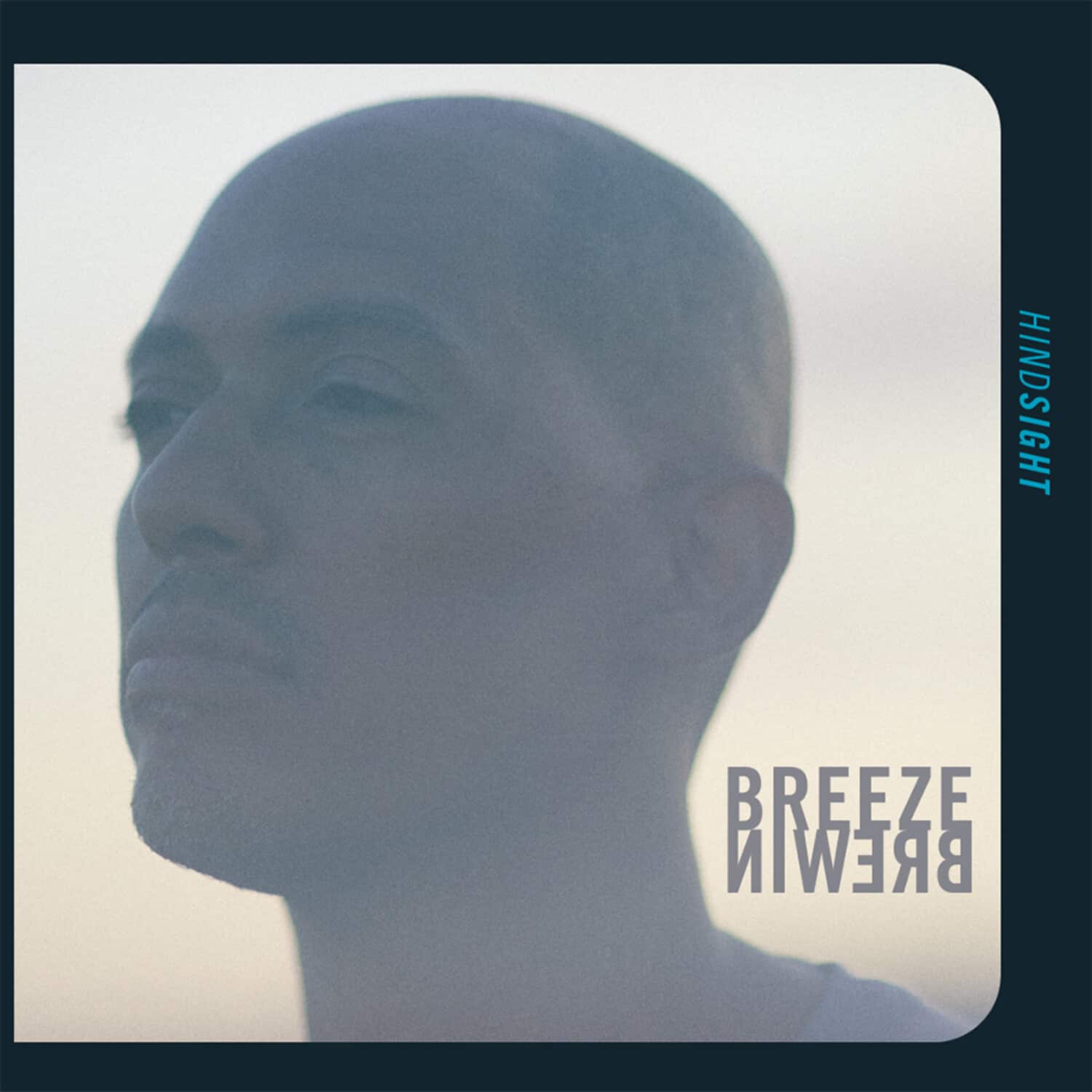 Breeze Brewin - Hindsight   - VINYL LP price history on PriceWatchPro