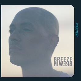 Breeze Brewin - Hindsight - VINYL LP