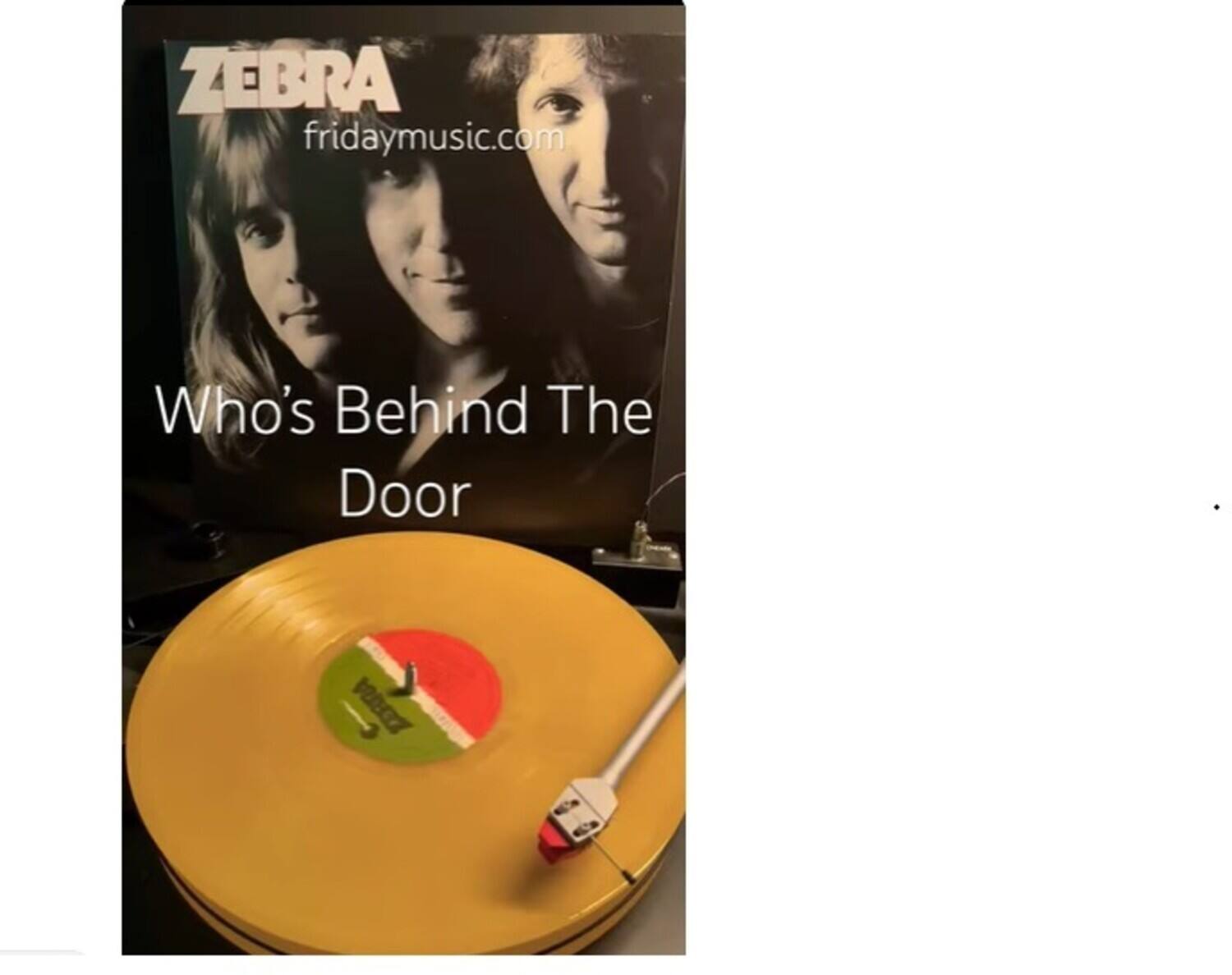 ZEBRA  
fridaymusic.com  
Who's Behind The Door  
VIROZ