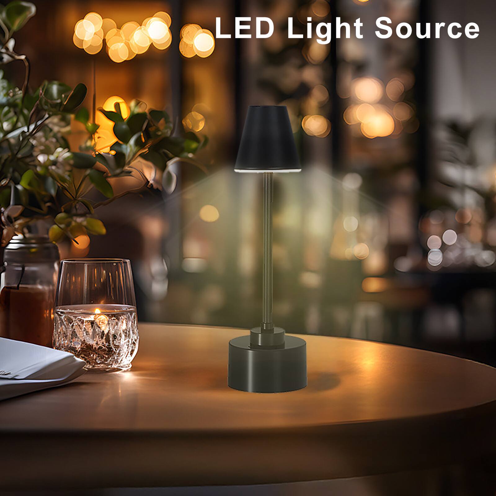 LED Light Source