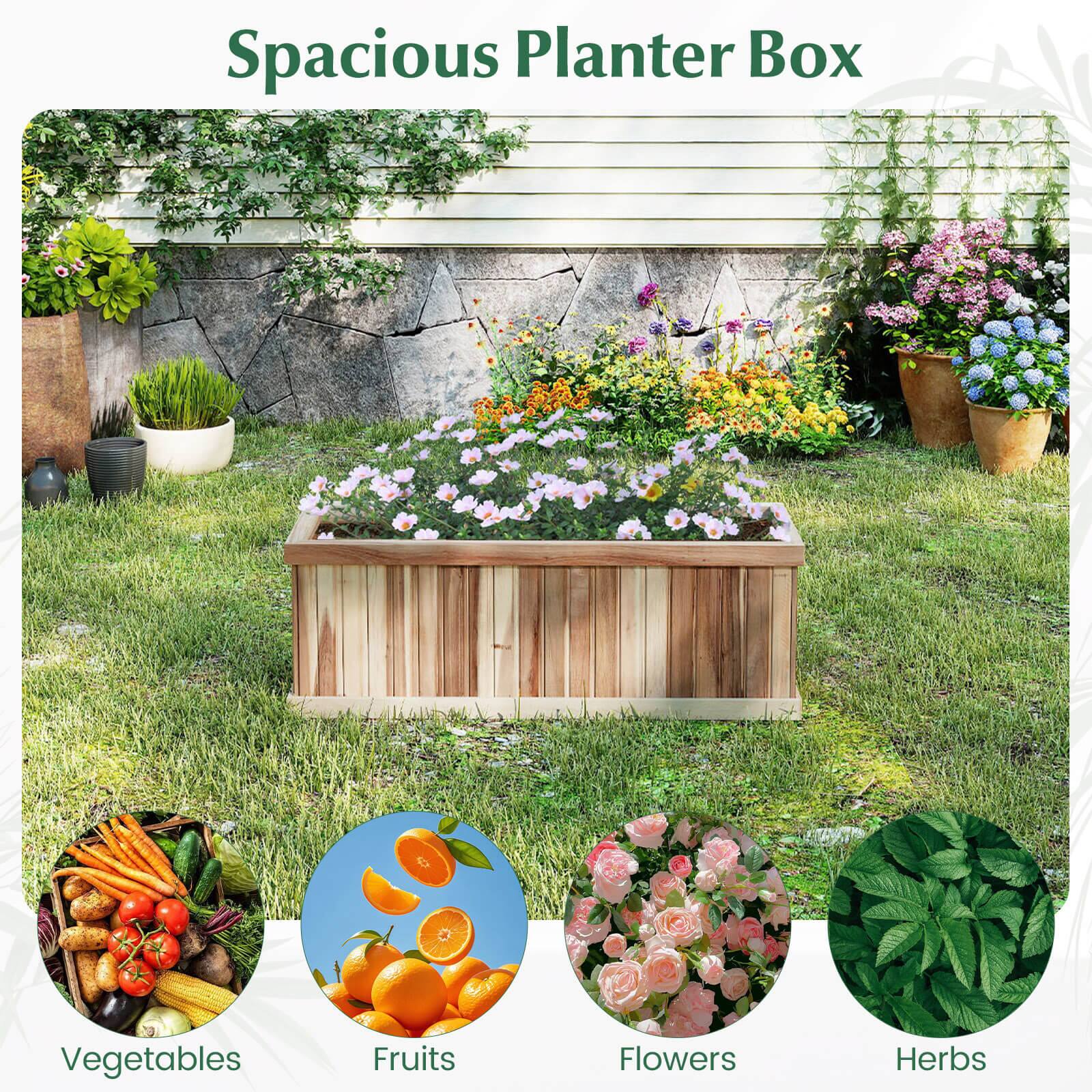 Spacious Planter Box

- Vegetables
- Fruits
- Flowers
- Herbs