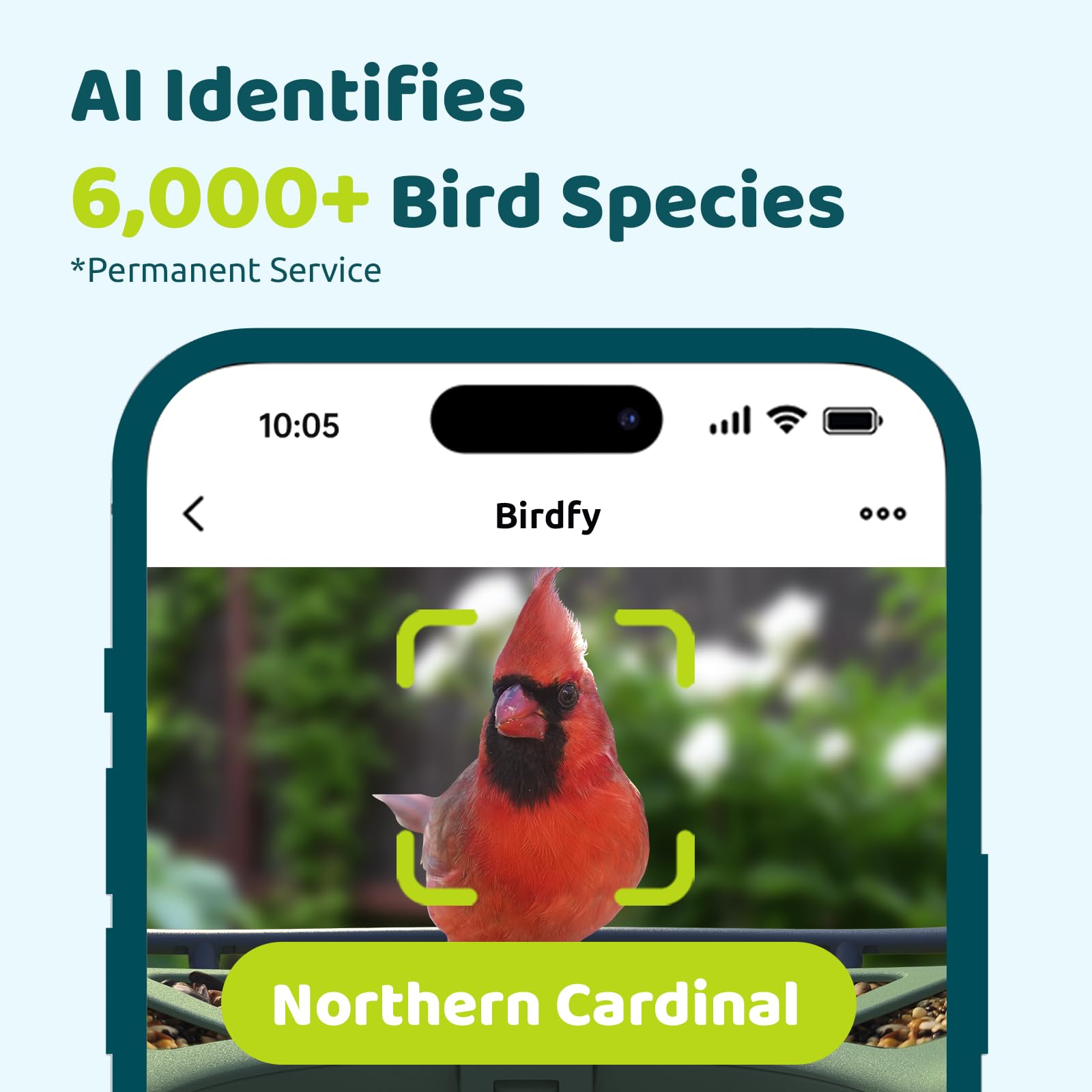 AI Identifies 6,000+ Bird Species *Permanent Service