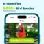 AI Identifies 6,000+ Bird Species *Permanent Service