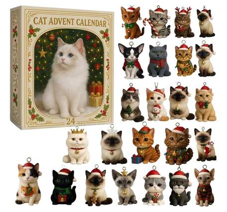 CAT ADVENT CALENDAR
24
