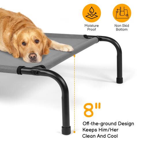 Moisture Proof Non Skid Bottom 8" Off-the-ground Design Keeps Him/Her Clean And Cool