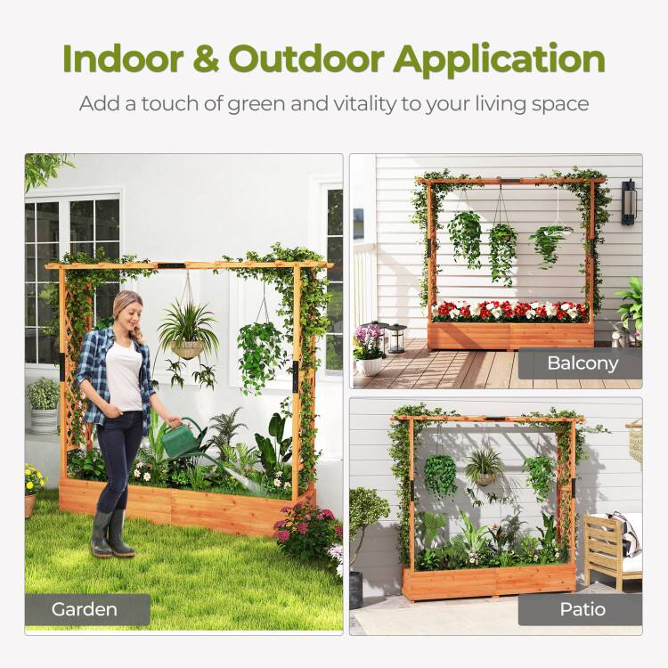 Indoor & Outdoor Application  
Add a touch of green and vitality to your living space  

Garden  
Balcony  
Patio