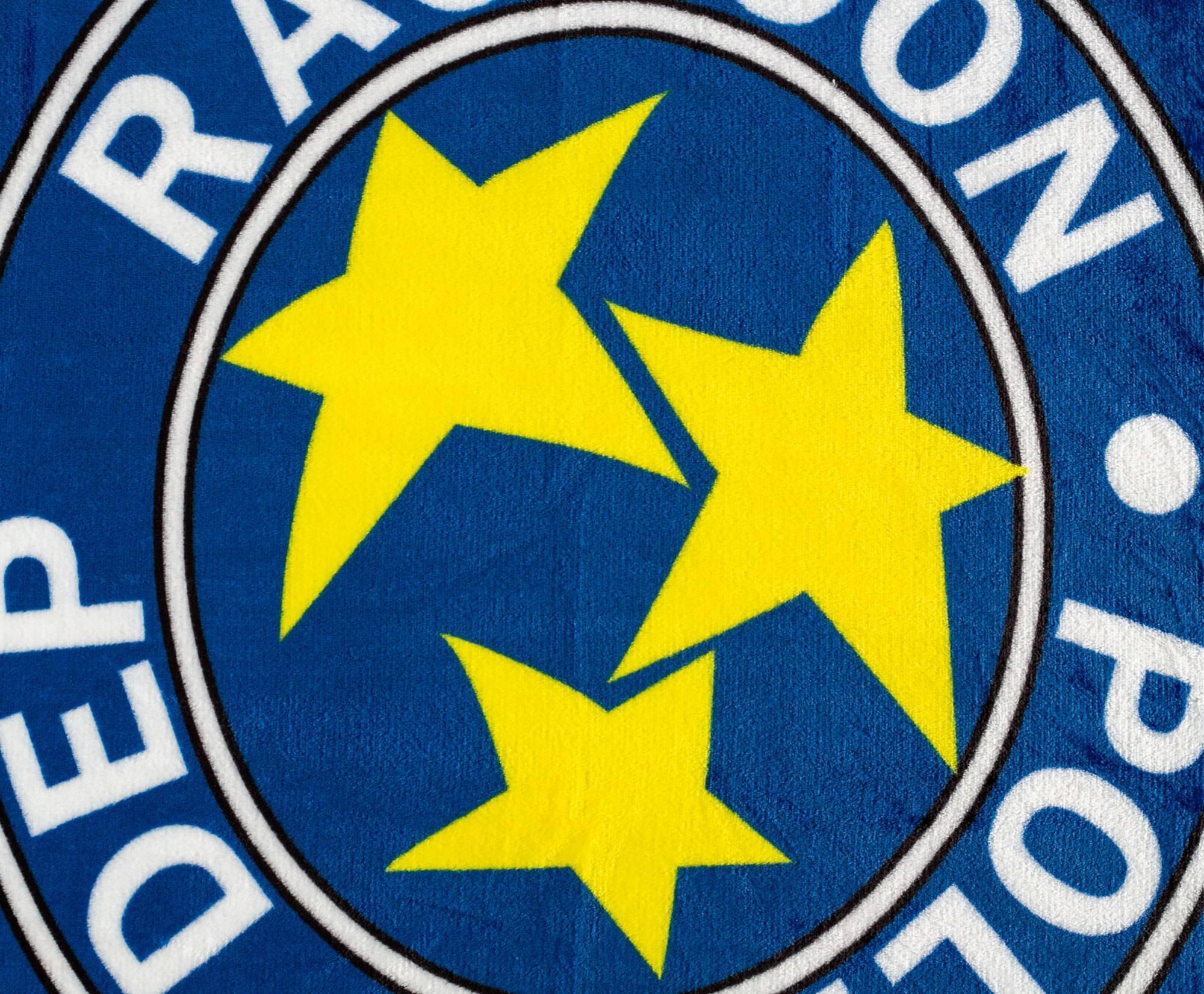 RAISON DEP POL